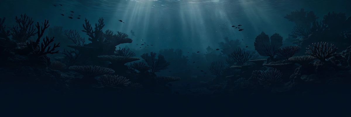 Deep underwater reef at dusk fading to dark navy